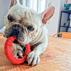 Gioco Dentale Smile Ferplast - Nero - Small 15 Gioco Dentale Smile Ferplast - Nero - Small -negozio di articoli per gatti grafiche prodotti magento 600x600 2022 04 05t142440.909