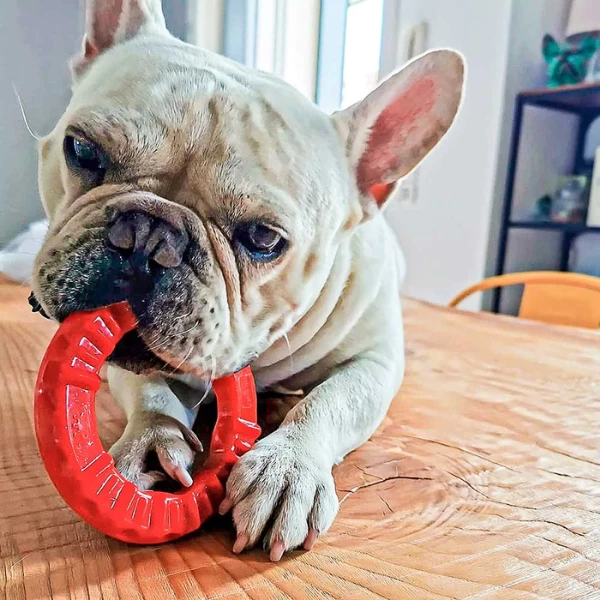 Gioco Dentale Smile Ferplast - Nero - Small 9 Gioco Dentale Smile Ferplast - Nero - Small - immagine 7