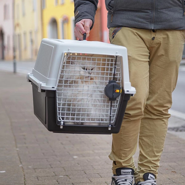 Trasportino Per Cani Atlas Professional Ferplast - Atlas 60 - 61x91x68 Cm 7 Trasportino Per Cani Atlas Professional Ferplast - Atlas 60 - 61x91x68 Cm - immagine 5