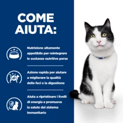 Hill's Prescription Diet I/d Feline - 156 Gr 14 Hill's Prescription Diet I/d Feline - 156 Gr -negozio di articoli per gatti grafiche prodotti magento 600x600 2022 04 07t092657.845