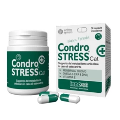 Condrostress (+) Cat Senior Innovet - 1 Confezione Da 30 Compresse