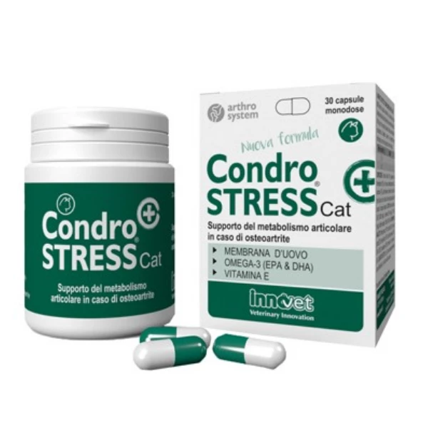 Condrostress (+) Cat Senior Innovet - 1 Confezione Da 30 Compresse 3 Condrostress (+) Cat Senior Innovet - 1 Confezione Da 30 Compresse