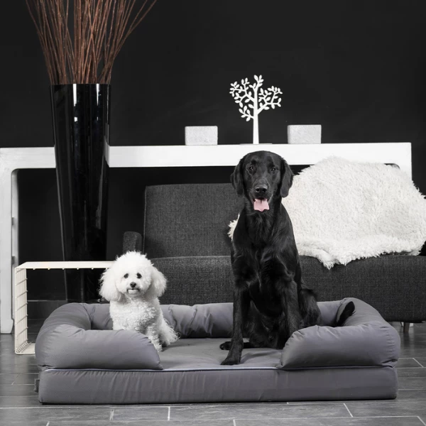 Cuscino Revenant Limitless In Memory Foam Croci - Grigio - 64x51x14 Cm 5 Cuscino Revenant Limitless In Memory Foam Croci - Grigio - 64x51x14 Cm - immagine 3