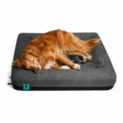 Zee.Dog Lettino Per Cani Zee Bed Skull In Memory Foam Zee Dog - L: 81x71x14 Cm 7 Zee.Dog Lettino Per Cani Zee Bed Skull In Memory Foam Zee Dog - L: 81x71x14 Cm -negozio di articoli per gatti grafiche prodotti magento 600x600 2022 06 06t155723.449 1