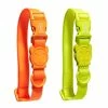 Zee.Dog Collare Neopro Fluo Zee Dog - Mandarino-Large -negozio di articoli per gatti grafiche prodotti magento 600x600 2022 06 06t182839.709