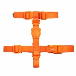 Zee.Dog Pettorina Ad H Neopro Fluo Zee Dog - Lime-Small -negozio di articoli per gatti grafiche prodotti magento 600x600 2022 06 07t154023.588 3