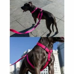 Zee.Dog Pettorina Ad H Zee Dog - Ultimate Blue-Large -negozio di articoli per gatti grafiche prodotti magento 600x600 2022 06 07t160916.465