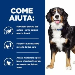 Hill's Prescription Diet Metabolic + Mobility Canine - 12 Kg -negozio di articoli per gatti grafiche prodotti magento 600x600 2022 06 15t092830.636