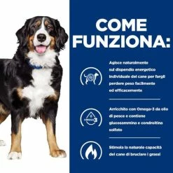 Hill's Prescription Diet Metabolic + Mobility Canine - 12 Kg -negozio di articoli per gatti grafiche prodotti magento 600x600 2022 06 15t092843.634