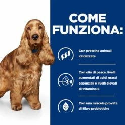 Hill's Prescription Diet Z/d Canine - 10 Kg -negozio di articoli per gatti grafiche prodotti magento 600x600 2022 06 15t095621.776