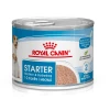 Royal Canin Starter Mousse Mother & Babydog - 195 Gr -negozio di articoli per gatti grafiche prodotti magento 600x600 2022 06 24t155039.169