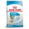 Royal Canin Mini Starter Mother & Babydog - 1 Kg -negozio di articoli per gatti grafiche prodotti magento 600x600 2022 06 24t155252.103