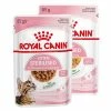 Royal Canin Kitten Sterilised 85 Gr - In Salsa -negozio di articoli per gatti grafiche prodotti magento 600x600 2022 06 24t161032.239