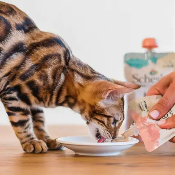 Schesir Umido Per Gatti Kitten Care Crema In Busta 150 Gr - Pollo 5 Schesir Umido Per Gatti Kitten Care Crema In Busta 150 Gr - Pollo - immagine 3