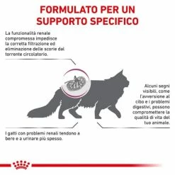 Royal Canin Veterinary Renal Special Feline - 2 Kg -negozio di articoli per gatti grafiche prodotti magento 600x600 2022 08 23t144635.050