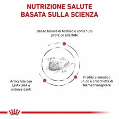Royal Canin Veterinary Renal Special Feline - 2 Kg -negozio di articoli per gatti grafiche prodotti magento 600x600 2022 08 23t144645.455
