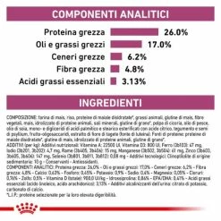 Royal Canin Veterinary Renal Special Feline - 2 Kg -negozio di articoli per gatti grafiche prodotti magento 600x600 2022 08 23t144716.977