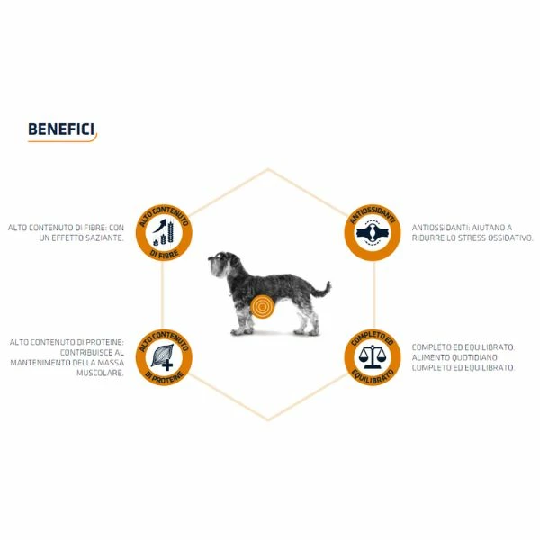 Advance Veterinary Diets Weight Balance Mini - 1,5 Kg 5 Advance Veterinary Diets Weight Balance Mini - 1,5 Kg - immagine 3