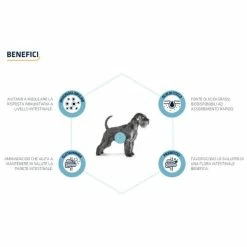 Advance Veterinary Diets Gastroenteric - 3 Kg -negozio di articoli per gatti grafiche prodotti magento 600x600 2022 09 09t115525.679