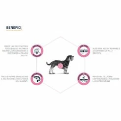 Advance Veterinary Diets Atopic Mini - 1,5 Kg -negozio di articoli per gatti grafiche prodotti magento 600x600 2022 09 09t121236.235