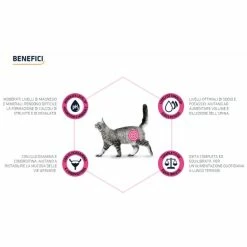 Advance Veterinary Diets Urinary Cat - 1,5 Kg 7 Advance Veterinary Diets Urinary Cat - 1,5 Kg -negozio di articoli per gatti grafiche prodotti magento 600x600 2022 09 09t141551.978