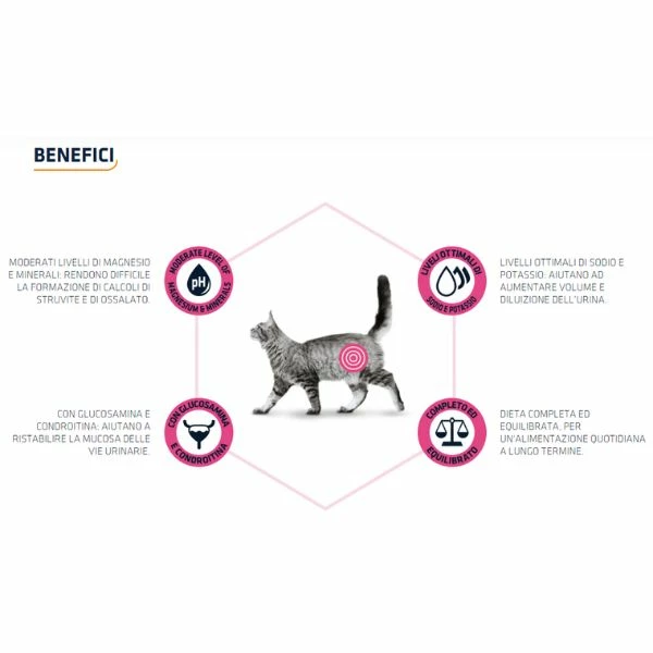 Advance Veterinary Diets Urinary Cat - 1,5 Kg 5 Advance Veterinary Diets Urinary Cat - 1,5 Kg - immagine 3