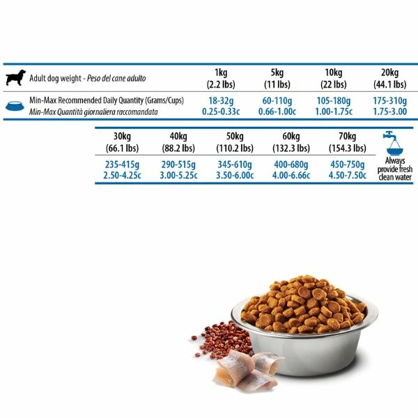 Farmina N&D Quinoa Canine Skin&Coat Aringa E Cocco - 7 Kg 4 Farmina N&D Quinoa Canine Skin&Coat Aringa E Cocco - 7 Kg - immagine 2