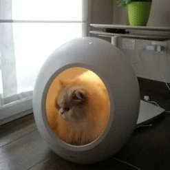 Cuccia Tecnologica Domus Croci - 1 Pezzo 15 Cuccia Tecnologica Domus Croci - 1 Pezzo -negozio di articoli per gatti grafiche prodotti magento 600x600 2022 10 27t174612.330