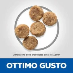 Hill's Science Plan Small & Mini Mature Adult 7+ Alimento Per Cani Con Pollo - 1,5 Kg -negozio di articoli per gatti grafiche prodotti magento 600x600 2022 11 02t122559.830