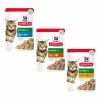 Hill's Science Plan Kitten Alimento Per Gattini 85 Gr - Con Pesce Oceanico 2 Hill's Science Plan Kitten Alimento Per Gattini 85 Gr - Con Pesce Oceanico -negozio di articoli per gatti grafiche prodotti magento 600x600 2022 11 03t114841.692