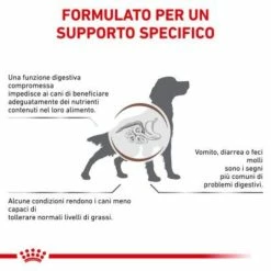 Royal Canin Gastrointestinal Low Fat Canine - 1,5 Kg -negozio di articoli per gatti grafiche prodotti magento 600x600 2022 11 07t115652.822