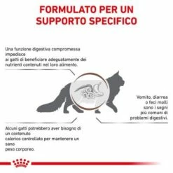Royal Canin Gastrointestinal Moderate Calorie Feline - 2 Kg -negozio di articoli per gatti grafiche prodotti magento 600x600 2022 11 07t121642.246