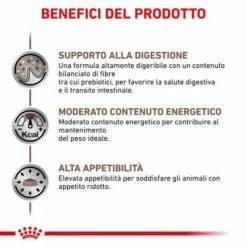 Royal Canin Gastrointestinal Moderate Calorie Feline - 2 Kg -negozio di articoli per gatti grafiche prodotti magento 600x600 2022 11 07t121706.635