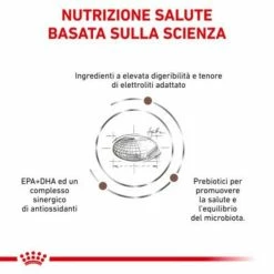 Royal Canin Gastrointestinal Canine - 2 Kg -negozio di articoli per gatti grafiche prodotti magento 600x600 2022 11 07t122534.548