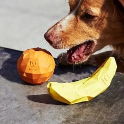 Zee.Dog Gioco Per Cani Super Fruit Zee Dog - Super Banana 14 Zee.Dog Gioco Per Cani Super Fruit Zee Dog - Super Banana -negozio di articoli per gatti grafiche prodotti magento 600x600 30