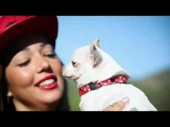 Pettorina Comics Batman For Fan Pets - S/M -negozio di articoli per gatti hqdefault 2 1