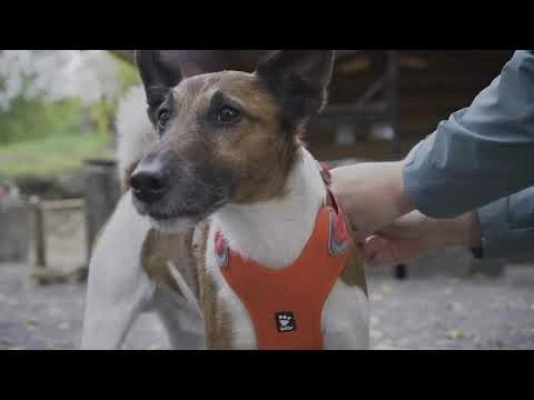 Pettorina Weekend Warrior Hurtta - Nero 40 - 45 Cm 7 Pettorina Weekend Warrior Hurtta - Nero 40 - 45 Cm - immagine 5