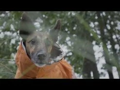 Giacca Monsoon Coat Hurtta - Mora-45 Cm 11 Giacca Monsoon Coat Hurtta - Mora-45 Cm -negozio di articoli per gatti hqdefault 5 2