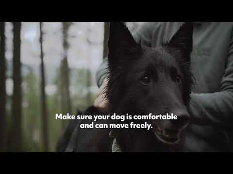 Pettorina Razzle Dazzle A Y Hurtta - Lampone - 65-80 Cm 4 Pettorina Razzle Dazzle A Y Hurtta - Lampone - 65-80 Cm - immagine 2