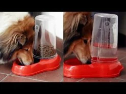 Ferplast Distributore D'acqua Nadir - 1 Distributore D'acqua 7 Ferplast Distributore D'acqua Nadir - 1 Distributore D'acqua -negozio di articoli per gatti hqdefault 5 34