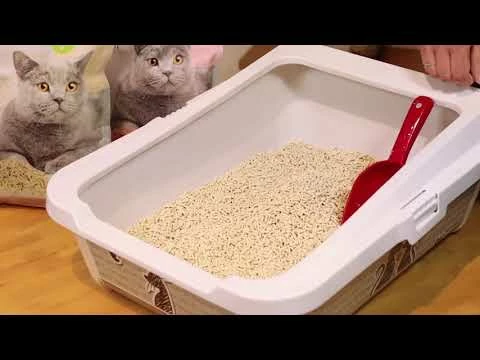 Cat E Rina Cat&Rina Lettiera Al Tofu Be Natural - 5,5 Litri 4 Cat E Rina Cat&Rina Lettiera Al Tofu Be Natural - 5,5 Litri - immagine 2