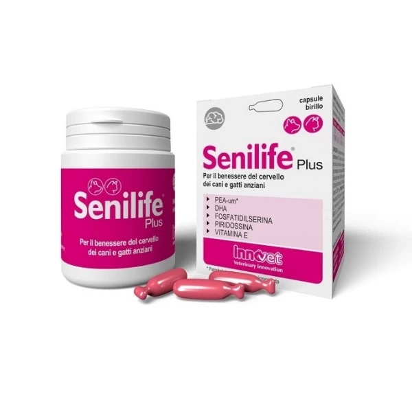 Innovet Senilife Plus 30 Capsule - 30 Cps Birillo 3 Innovet Senilife Plus 30 Capsule - 30 Cps Birillo