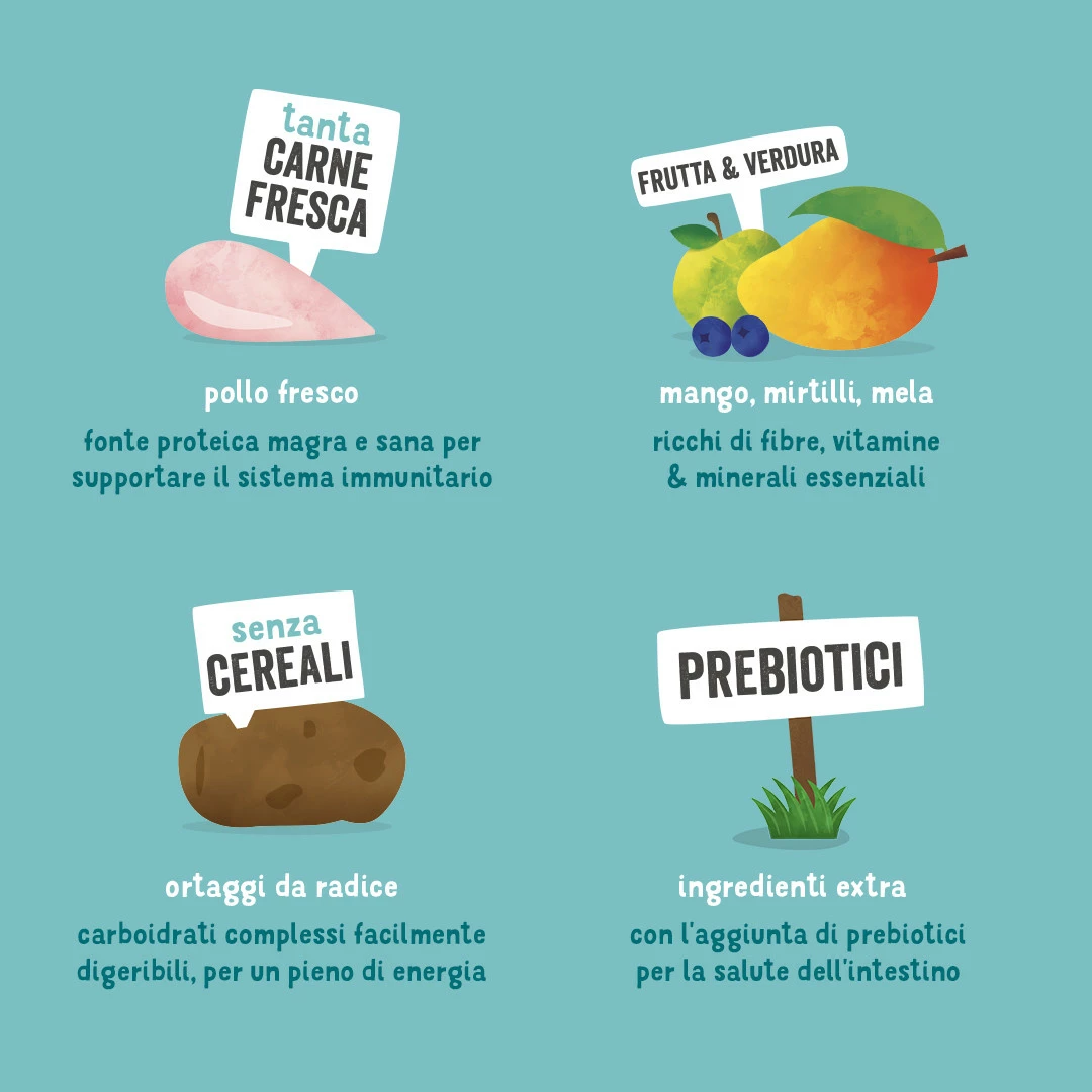 Edgard & Cooper Adult Grain Free Pollo - 2,5 Kg (formato Crocchetta Normale) 7 Edgard & Cooper Adult Grain Free Pollo - 2,5 Kg (formato Crocchetta Normale) - immagine 5