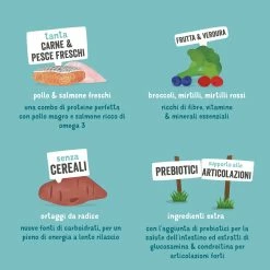 Edgard & Cooper Senior Grain Free Pollo E Salmone - 2,5 Kg 10 Edgard & Cooper Senior Grain Free Pollo E Salmone - 2,5 Kg -negozio di articoli per gatti it edgard cooper keyingredients dog kibble seniorchicken salmon