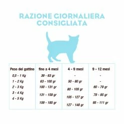CooKing Cat Grain Free Kitten All Breed Con Salmone - 2 Kg -negozio di articoli per gatti reazione giornaliera cooking cat kitten salmone