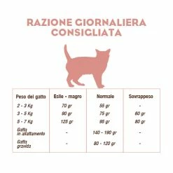 CooKing Cat Grain Free All Breed Con Salmone - 8 Kg -negozio di articoli per gatti reazione giornaliera cooking cat salmone