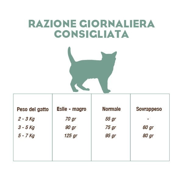 CooKing Cat Grain Free Sterilized All Breed Con Pollo - 8 Kg 10 CooKing Cat Grain Free Sterilized All Breed Con Pollo - 8 Kg - immagine 8