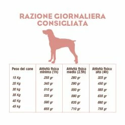 CooKing Dog Grain Free Adult All Breed Con Salmone - 12 Kg -negozio di articoli per gatti reazione giornaliera cooking dog adult salmone