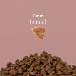 CooKing Cat Grain Free All Breed Con Salmone - 8 Kg -negozio di articoli per gatti scheda prodotto 6 1