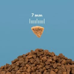 CooKing Cat Grain Free Kitten All Breed Con Salmone - 2 Kg -negozio di articoli per gatti scheda prodotto 6 6